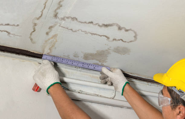 Reliable Water Damage contractor in Troup, TX by Water Damage Irwin